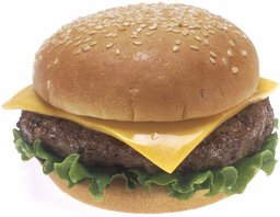 A Cheese Burger with only meet, cheese, and lettus